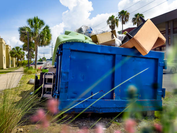 Best Junk Hauling Services  in Lake Odessa, MI